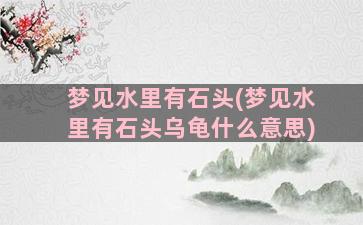 梦见水里有石头(梦见水里有石头乌龟什么意思)