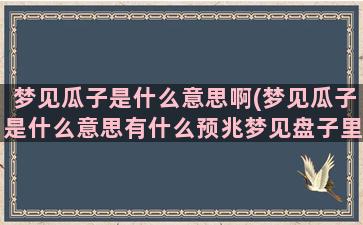 梦见瓜子是什么意思啊(梦见瓜子是什么意思有什么预兆梦见盘子里装满瓜子)