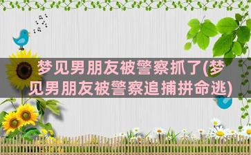 梦见男朋友被警察抓了(梦见男朋友被警察追捕拼命逃)