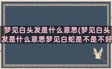 梦见白头发是什么意思(梦见白头发是什么意思梦见白蛇是不是不好)