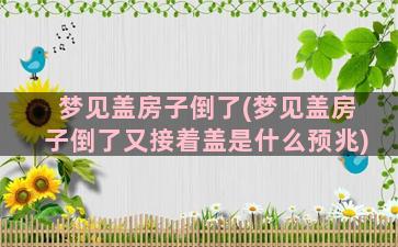 梦见盖房子倒了(梦见盖房子倒了又接着盖是什么预兆)