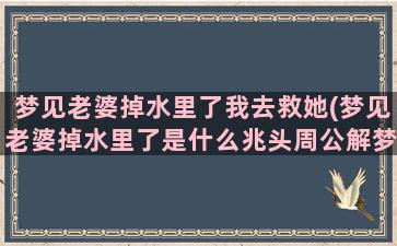 梦见老婆掉水里了我去救她(梦见老婆掉水里了是什么兆头周公解梦)