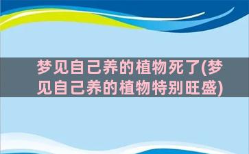 梦见自己养的植物死了(梦见自己养的植物特别旺盛)