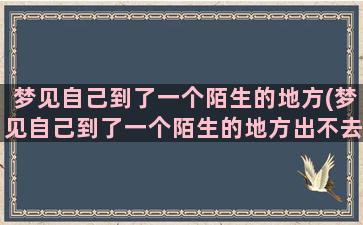 梦见自己到了一个陌生的地方(梦见自己到了一个陌生的地方出不去)