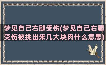 梦见自己右腿受伤(梦见自己右腿受伤被挑出来几大块肉什么意思)