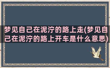 梦见自己在泥泞的路上走(梦见自己在泥泞的路上开车是什么意思)