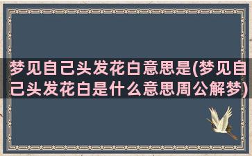 梦见自己头发花白意思是(梦见自己头发花白是什么意思周公解梦)