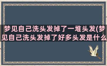 梦见自己洗头发掉了一堆头发(梦见自己洗头发掉了好多头发是什么意思)