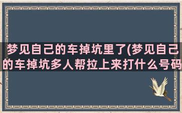 梦见自己的车掉坑里了(梦见自己的车掉坑多人帮拉上来打什么号码)