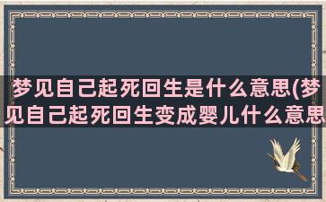 梦见自己起死回生是什么意思(梦见自己起死回生变成婴儿什么意思)