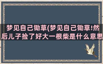 梦见自己锄草(梦见自己锄草!然后儿子捡了好大一根柴是什么意思)