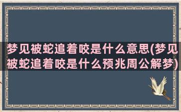 梦见被蛇追着咬是什么意思(梦见被蛇追着咬是什么预兆周公解梦)