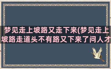 梦见走上坡路又走下来(梦见走上坡路走道头不有路又下来了问人才找回家的路)