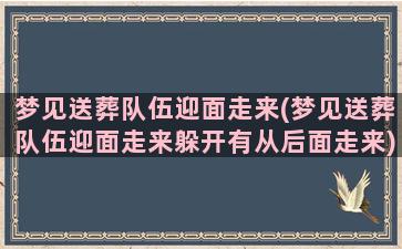 梦见送葬队伍迎面走来(梦见送葬队伍迎面走来躲开有从后面走来)