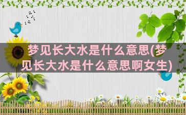 梦见长大水是什么意思(梦见长大水是什么意思啊女生)