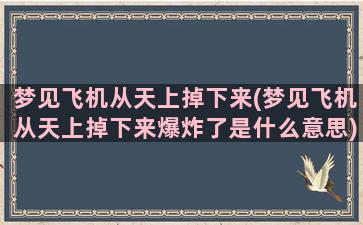 梦见飞机从天上掉下来(梦见飞机从天上掉下来爆炸了是什么意思)