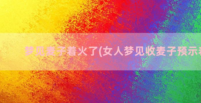 梦见麦子着火了(女人梦见收麦子预示着什么)