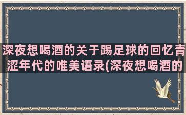 深夜想喝酒的关于踢足球的回忆青涩年代的唯美语录(深夜想喝酒的图片)