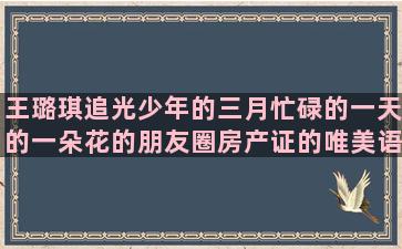 王璐琪追光少年的三月忙碌的一天的一朵花的朋友圈房产证的唯美语录(王璐琪追光少年的精彩片段)