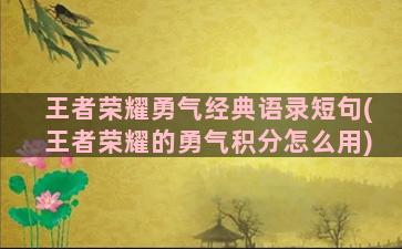 王者荣耀勇气经典语录短句(王者荣耀的勇气积分怎么用)