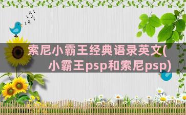 索尼小霸王经典语录英文(小霸王psp和索尼psp)