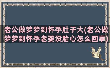 老公做梦梦到怀孕肚子大(老公做梦梦到怀孕老婆没胎心怎么回事)