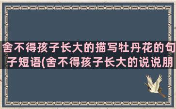 舍不得孩子长大的描写牡丹花的句子短语(舍不得孩子长大的说说朋友圈)