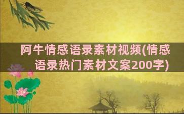 阿牛情感语录素材视频(情感语录热门素材文案200字)