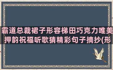 霸道总裁裙子形容梯田巧克力唯美押韵祝福听歌猜精彩句子摘抄(形容霸道总裁高冷的样子)